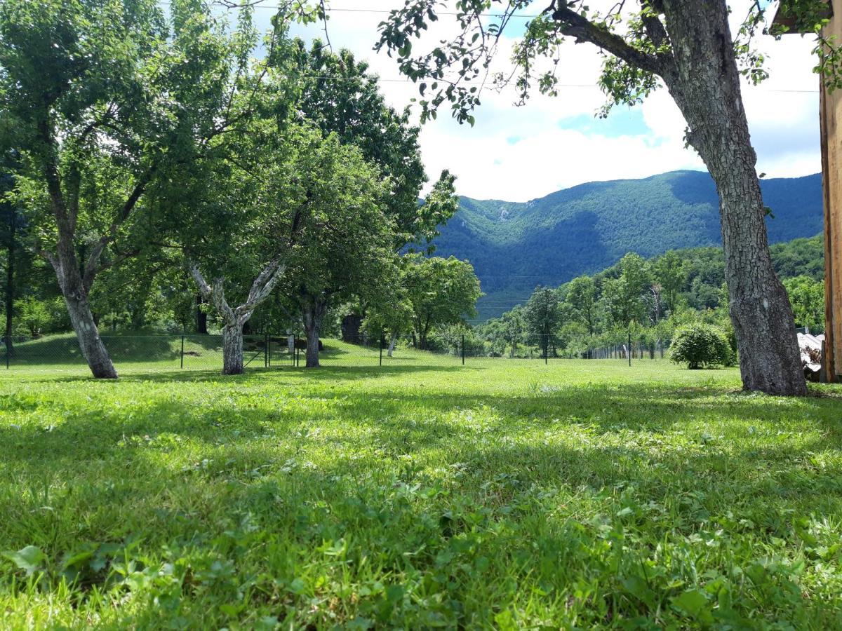 Kuca Za Odmor Dikka Brusane Lika Exterior foto